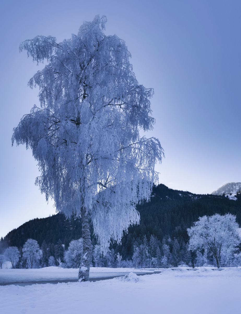 Panorama Allgäu Alpen Berge Winter Schnee verschneit baum vereist hindelang blau weiß