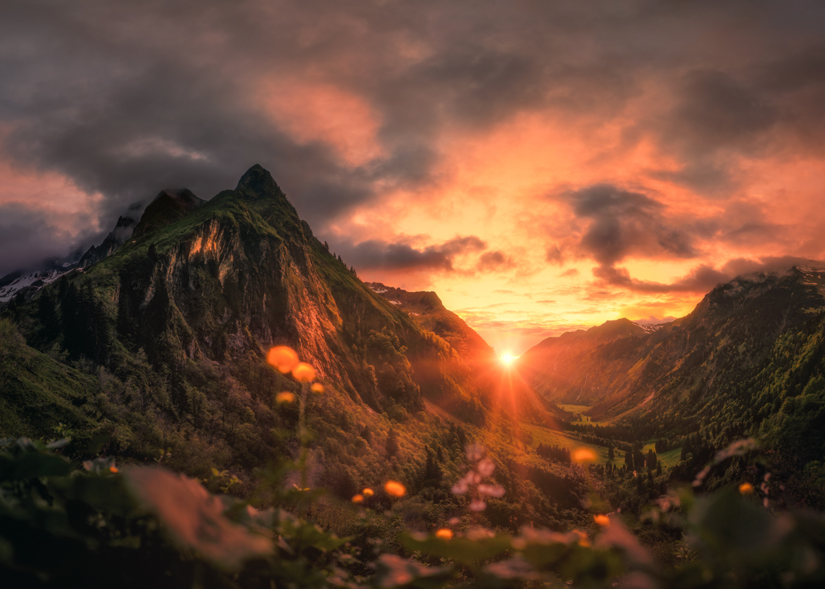 205 Sommer Allgäu Berge Höfats Oytalblumen blumenbilder Oberstdorf Sonnenuntergang rot