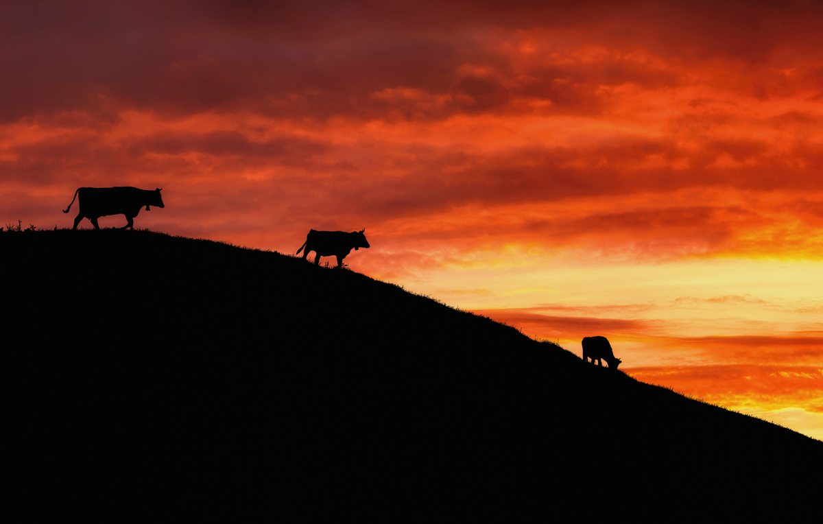604 Sommer Allgäu Berge Oberstdorf Sonnenuntergang rot