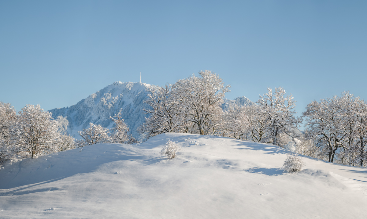 Panorama Allgäu Alpen Berge Winter Schnee verschneit Immenstadt Grünten Sonne weiss blau