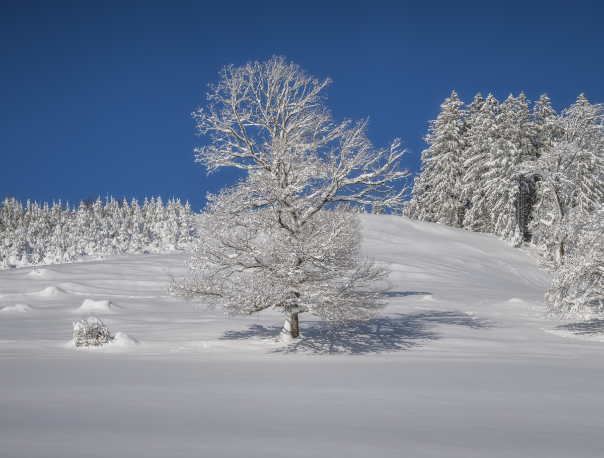 Panorama Allgäu Alpen Berge Winter Schnee verschneit Oberstdorf Oberallgäu weiß blauer himmel sonne