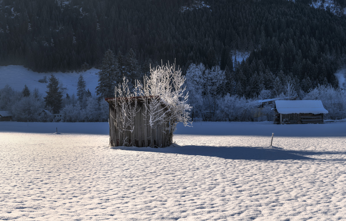 Panorama Allgäu Alpen Berge Winter Schnee verschneit hindelang hütte baum weiß blau schwarz vereist