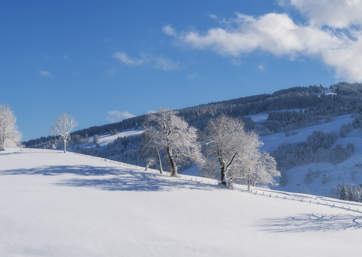 Panorama Allgäu Alpen Berge Winter Schnee Rettenberg Grünten Grüntenhütte Kranzegg Burgberg Oberallgäu weiß blauer himmel sonne