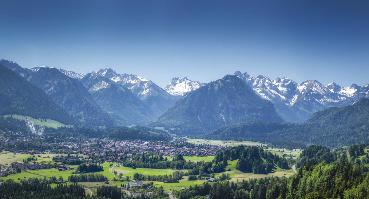 Bergbilder berg bilder Allgäu Alpen Oberstdorf Blumen Feld Wildblumen Löwenzahn Frühling Jägersberg grüne wiesen blauer himmel sonne
