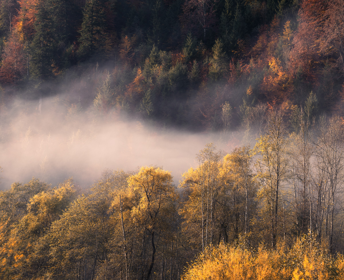 Panorama Allgäu Alpen Berge Hinterstein Herbst Herbstfarben Laub goldener Herbst Indian Summer Oberallgäu rot