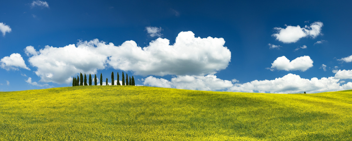 Italien Toskana Cinque Terre Lucca Gimignano Riomaggiore Vernazza Montepulciano Landschaft blauer Himmel Baum Bäume Feld