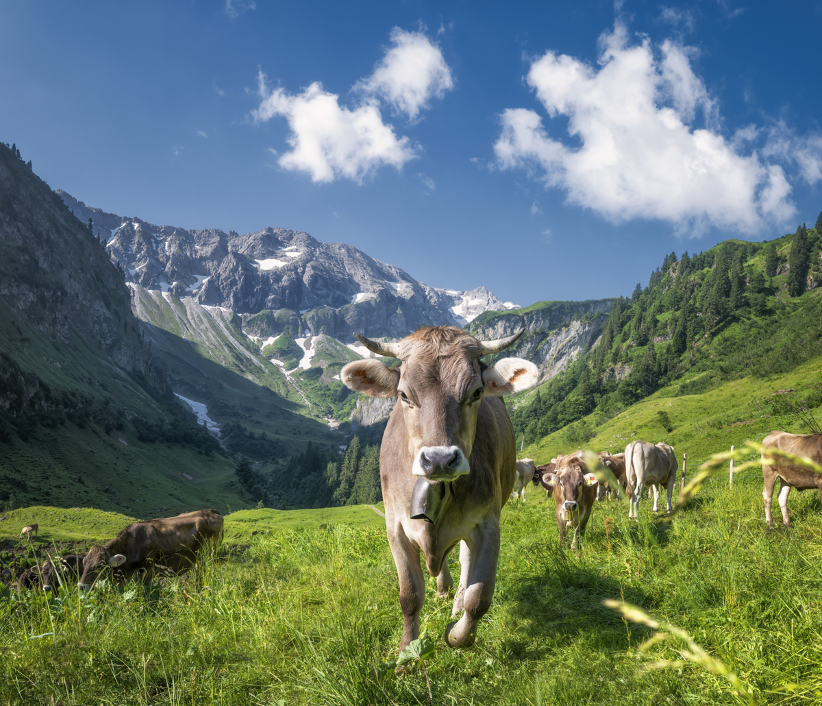 landschaftsfotos landschaftsbilder fotos landschaftsfotografie bilder landschaft tipps licht linse medien welt perspektive sammlung suche natur bergen ideen farbe allgäu berge hochalpen